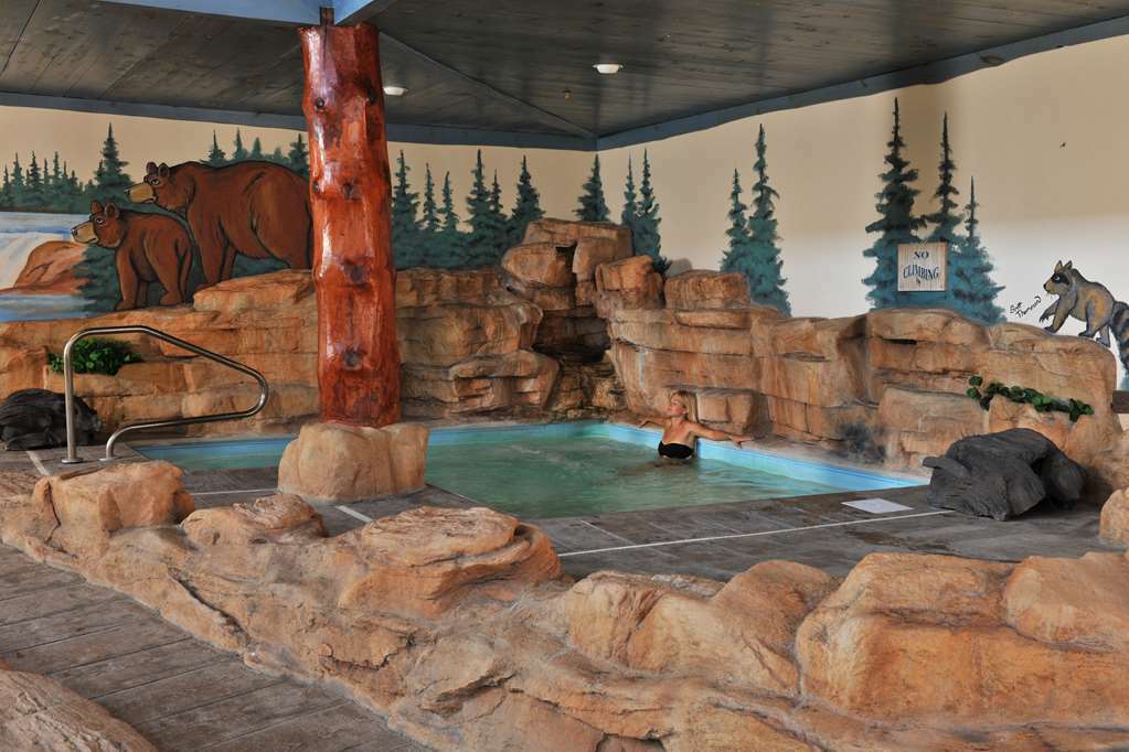 Stoney Creek Hotel St. Joseph Servizi foto